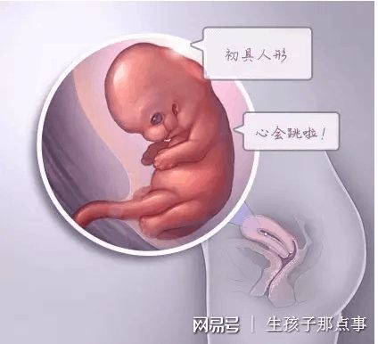 医疗设备